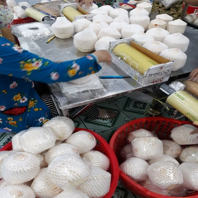 RED DRAGONFRUIT, WHITE DRAGON FRUIT