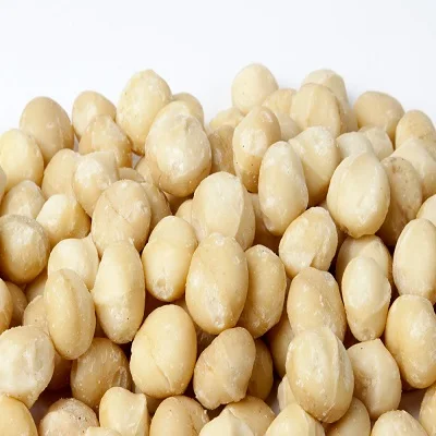 Raw, No Shell Hazelnuts