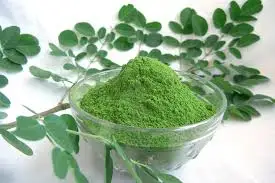 Экстракт листьев монриги в порошке для здоровья WHATSAPP + 84 845 639 639