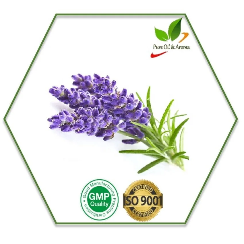 Factory Wholesale Lavender Essential Oil