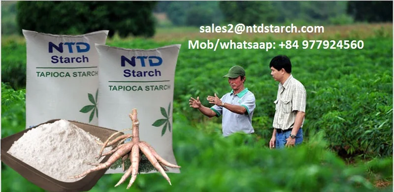 PREGELATINIZED STARCH (ALPHA STARCH)