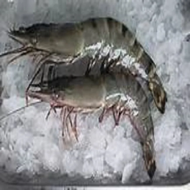 Salted Baby Shrimp With Cheap Price Good Quality