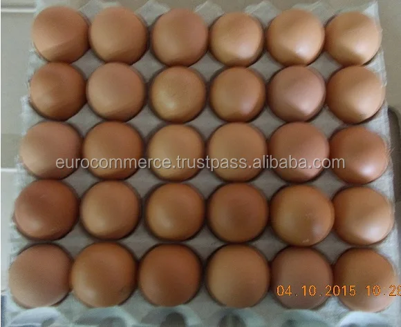 Свежие коричневые куриные яйца/украинские куриные яйца/свежие коричневые яйца