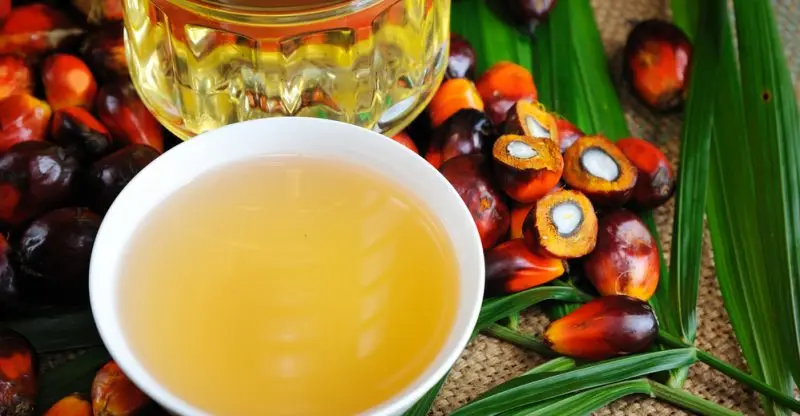 Пальмовое масло
