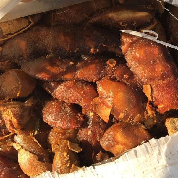 High Quality Tamarind with Seed from Myanmar