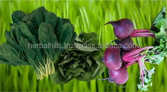 
Best quality Health care supplement Iron veggie tablets, Superfood 