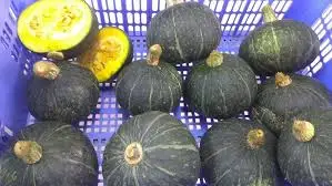 Healthy fresh pumpkin/ organic fresh pumpkin/ cheapest price  pumpkin powder