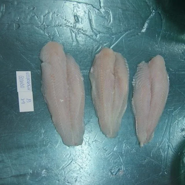 
PANGASIUS FISH - BEST QUALITY 