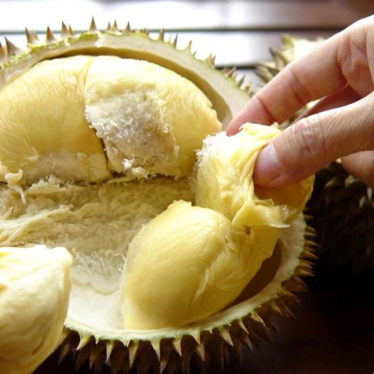 
FROZEN DURIAN PUREE FROM VIETNAM 