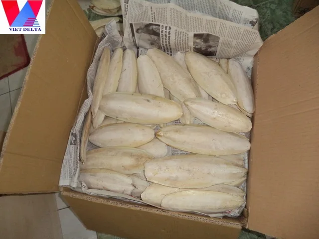 
CUTTLE FISH BONE / HIGH-QUALITY ANIMAL FEED / HAI PIAO XIAO 