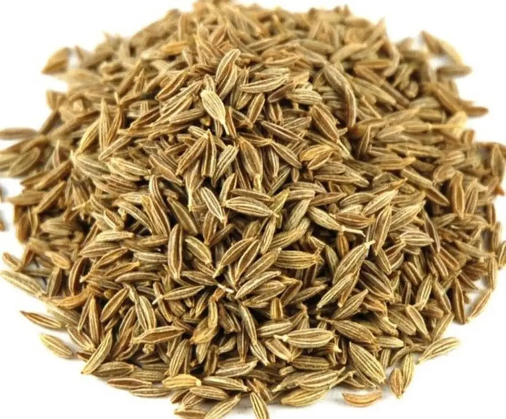 CUMIN SEEDS QUALITY SINGAPORE 98% ORIGIN INDIA FROM NIK-MAY EXPORTS LLP