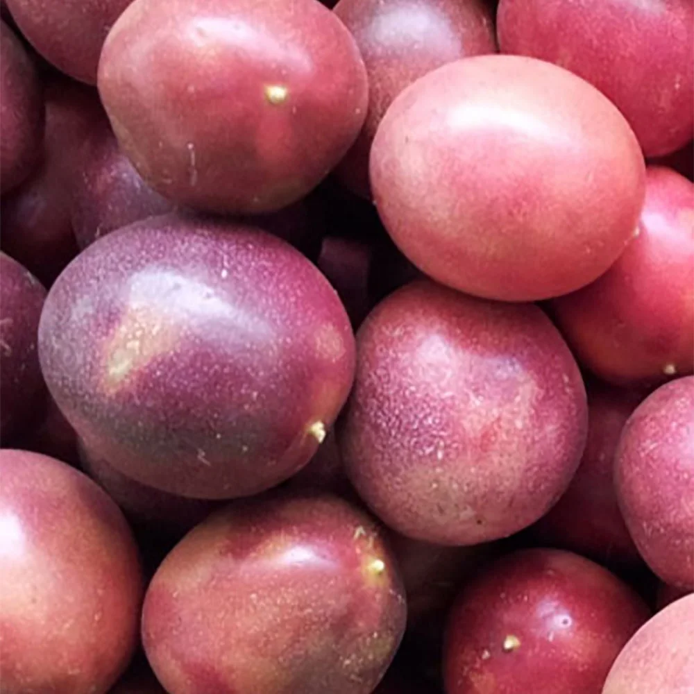 IQF FROZEN PASSION FRUIT HALF CUT ORIGIN VIETNAM FROM AN VAN THINH FOOD COMPANY / MEDIO CORTE DE FRUTA DE LA PASION CONGELADA