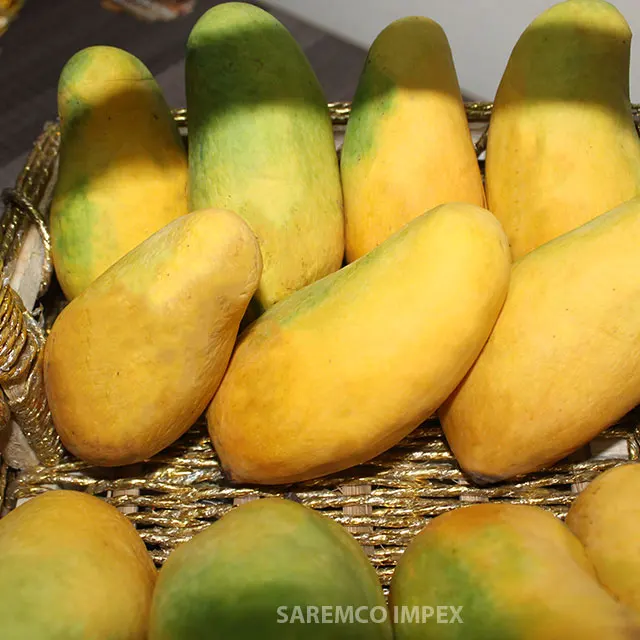 
Top Quality Mango Supplier From Pakistan 
