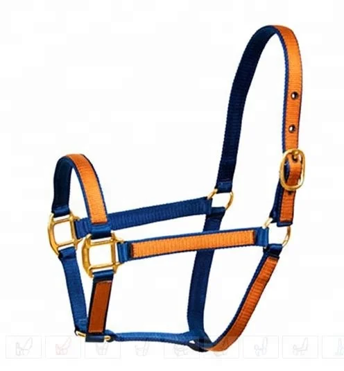 Horse Halters