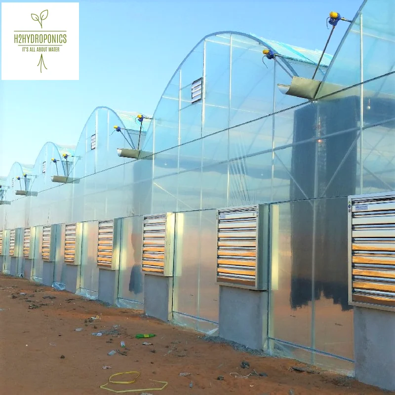 
Hydroponic Controllers and Mixers For Greenhouses and Professional Growers 
