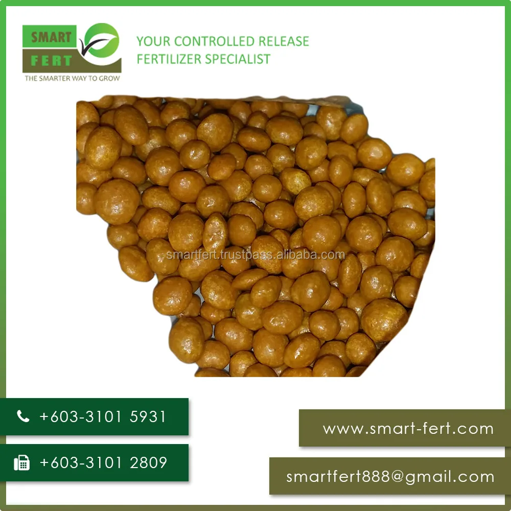 
High Quality Controlled Release Fertilizer for Oil Palm Manufacturer Direct 