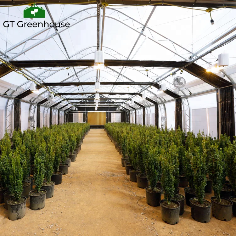 Плотные теплица с LED лампа для рассады