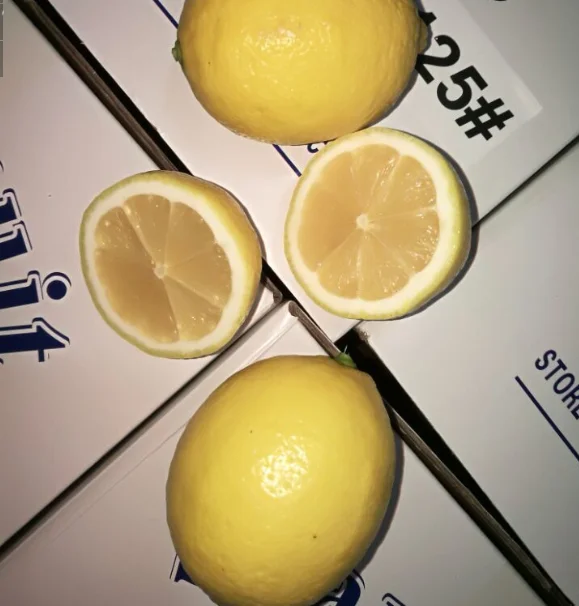
South African Fresh Lemon 