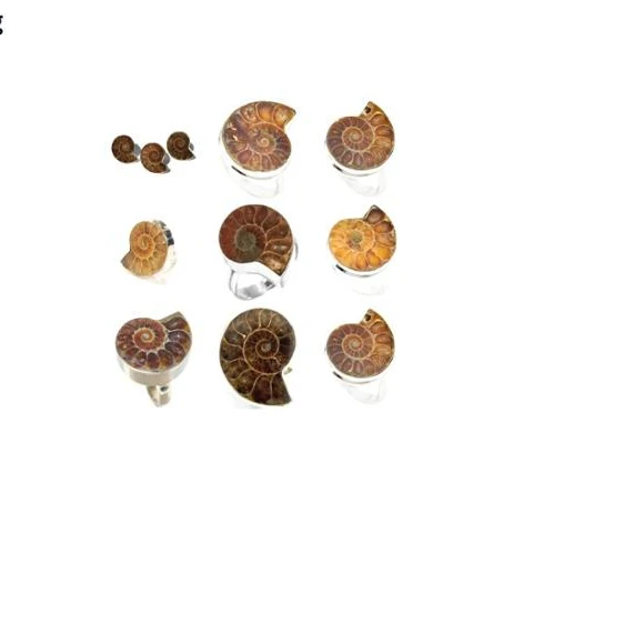 Кольцо из аммонита, 925 камень из стерлингового серебра, драгоценный камень, кабошон