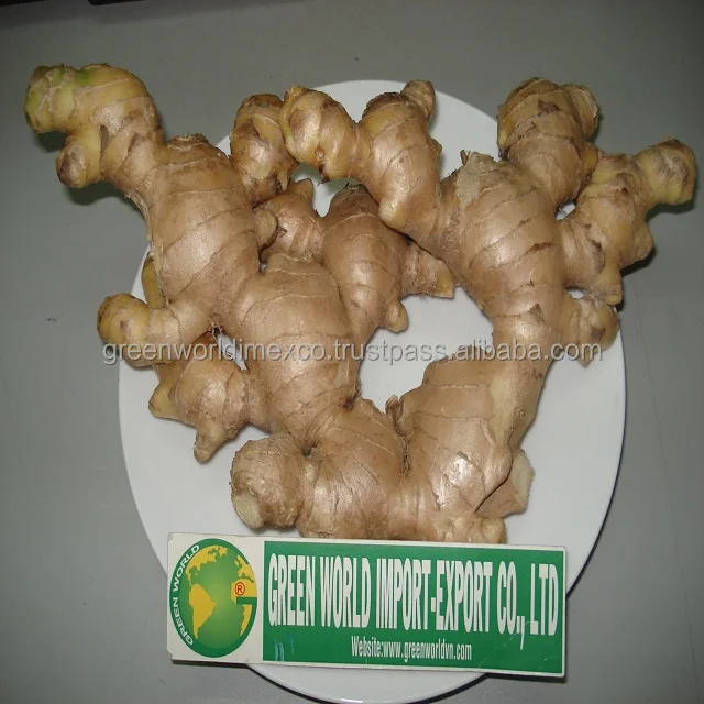 Оптовая продажа-свежий имбирь из Вьетнама