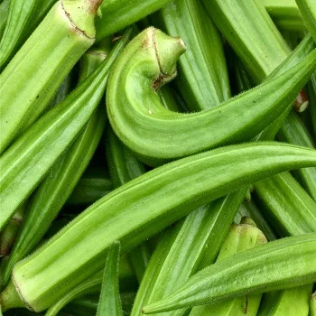 FRESH GREEN OKRA for sale