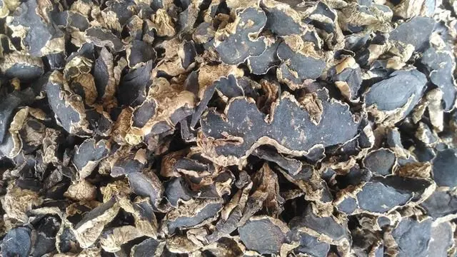 
Dried Sliced Black Ginger SOPHIE WHATSAPP +84-845-639-639 
