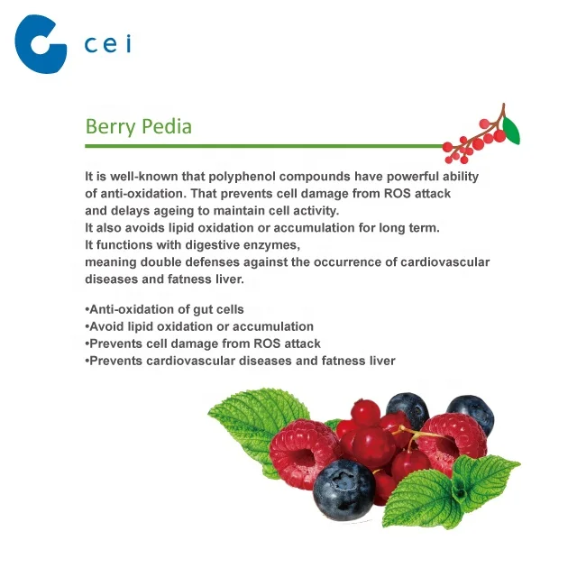 Gut Health Berry Powder Digestive Enzymes Probiotics Grapefruit Seed Cranberry Extract