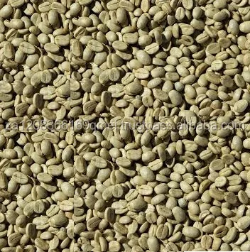 
Hot Selling Arabica Green Coffee Beans 