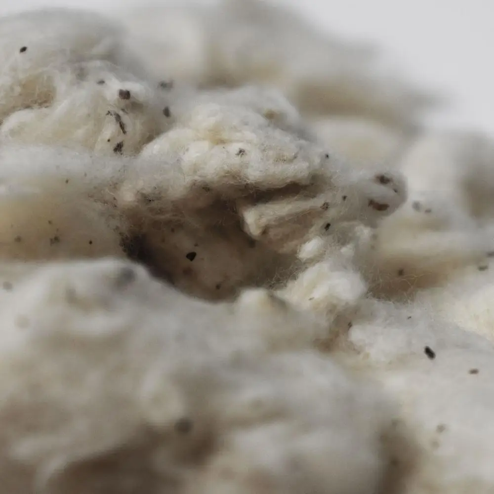 
Cost Competitive for Open End spinning Raw White Low Grade Raw Cotton 