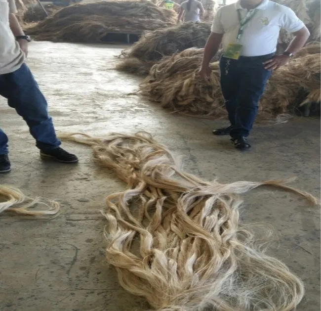 I grade philippine abaca hemp yarn abaca fiber raw nature fiber for abaca paper pulp material handmade paper