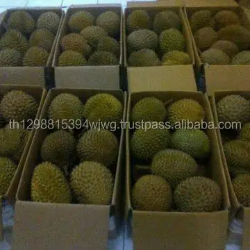 Свежий дуриан высшего качества из Таиланда