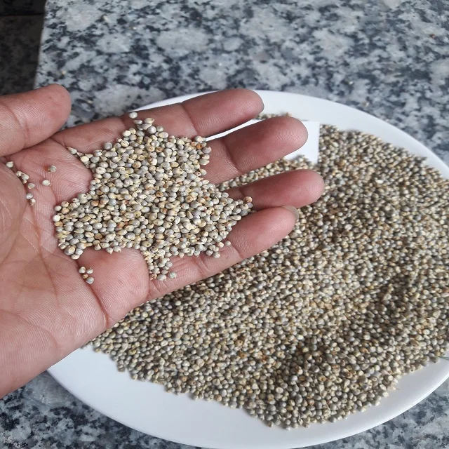 Зеленое просо лучшее качество для продажи