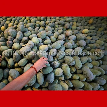 EGYPT MANGO PRICE , EGYPTIAN MANGO