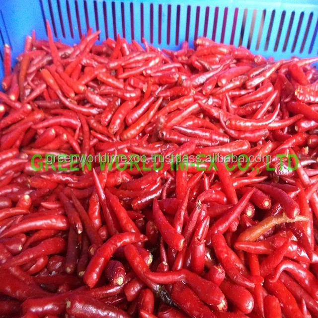 HOT PRICE WITH FRESH CHILLI  FOR GOLD QUALITY FROM VIET NAM
