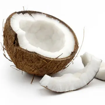 Organic Coconut Milk in bulk from Sri Lanka