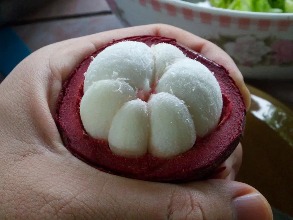 Мангостин Вьетнам 2021 + 84-845-639-639