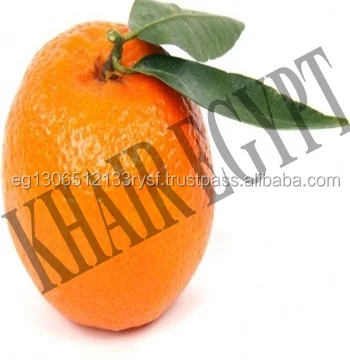 
fresh high quality orange for sale 