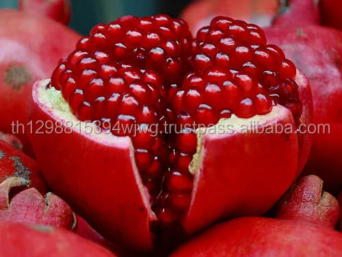 Fresh Fruit Mangosteen Manggis