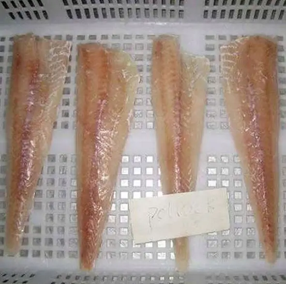 Fresh frozen pollock fillet