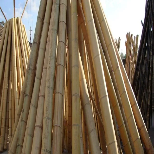 Bamboo poles various greatly from batch to batch