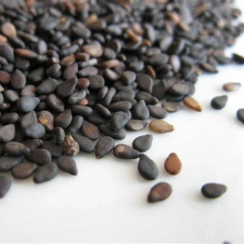 Best Quality Organic Black Sesame Seeds From India