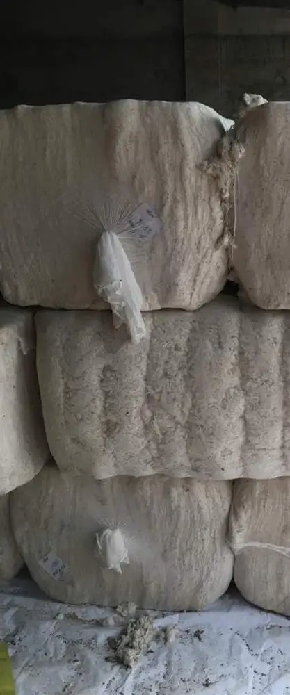 
CLEAN COTTON CARD WASTE 