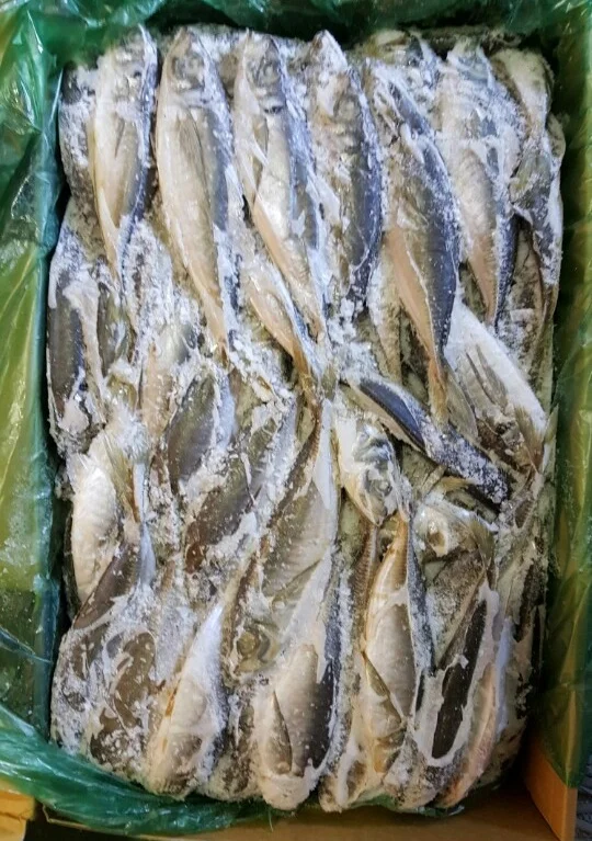 Корейская Высококачественная замороженная Конская скумбрия