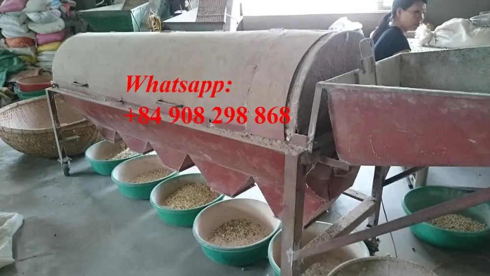 the high quality lotus seeds/ Vivian Ha +84 33 8820462