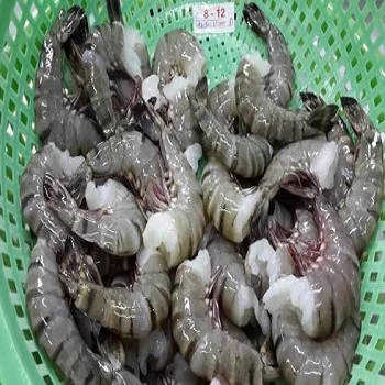 for SALE Sea Shrimps Seafood Fresh Frozen Shrimp Frozen Red Deep Sea