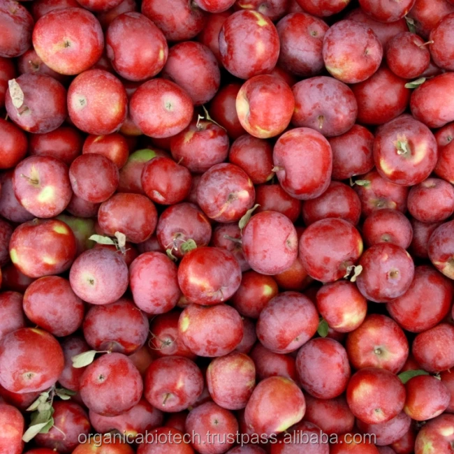 Bacterial organic liquid fertilizer for apples cultivation price in Indian companies