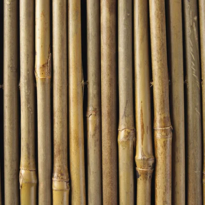 HOT SALE bamboo poles with the best price