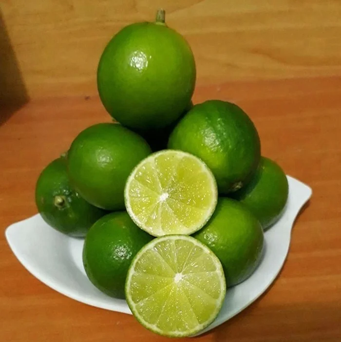 Supplier lemon seedless from vietnam with best quality/ rich vitamins/ much lemonade/