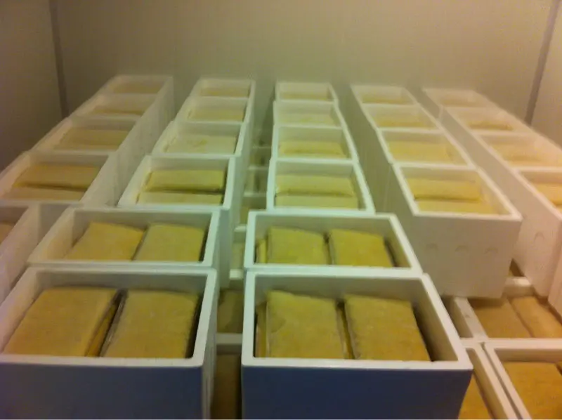 Malaysia Top Selling Frozen Kampung Durian Paste Seedless