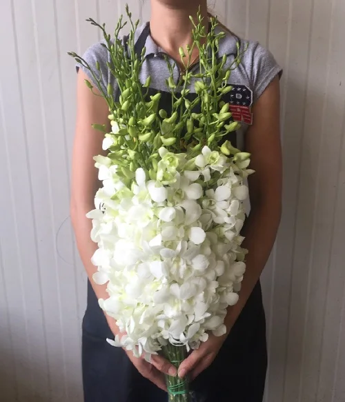 
Wholesale Fresh Dendrobium Big White Thai Orchid Cut Flower - Premium Quality @ Best Price Try us!! 